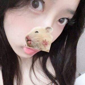 minakokomi